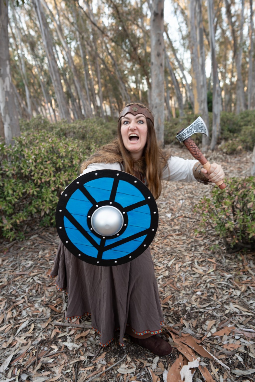 Let’s Make a Viking Shield&nbsp;Together!
